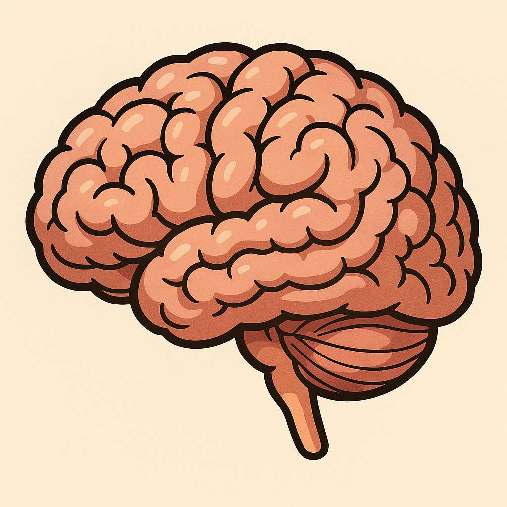 tenwisetips's tweet photo. New studies suggest your brain might actually be ageing faster than the rest of your body, but there are plenty of things you can do about it.

Find out what you can do to make your brain sharper in our new blog post....
#brain #ageing 
https://t.co/LsQL3FQxv1 https://t.co/COmYNvQlrx