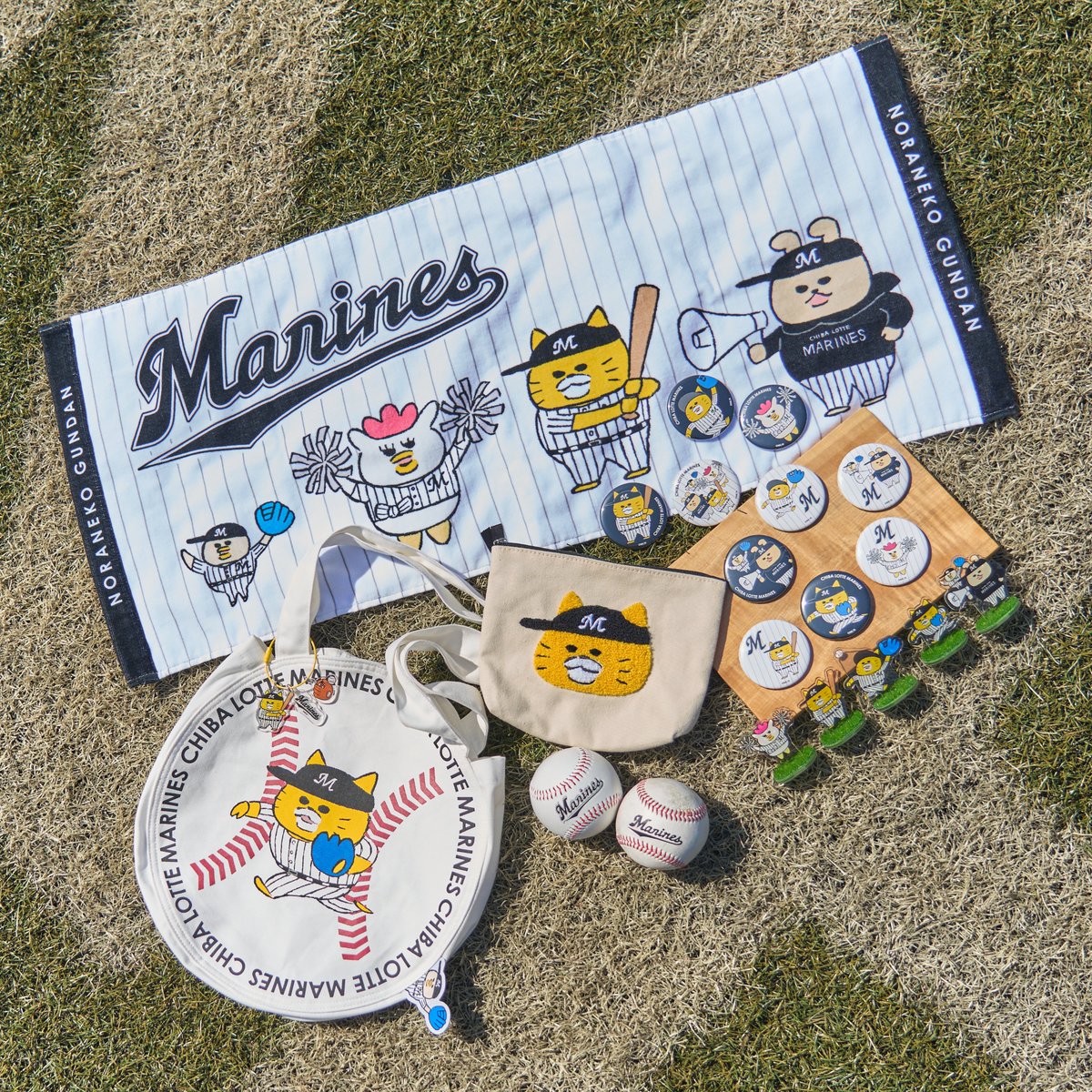 ニャー そくほう📢 ＼ #千葉ロッテマリーンズ @chibalotte と