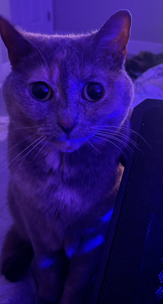 don t worrie i’ll watch over u while u sleemp