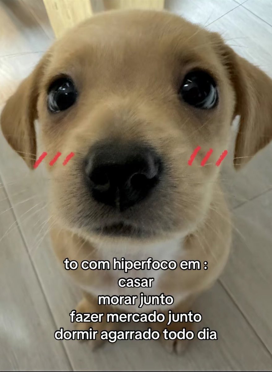 se a terra não é plana como explica o céu reto? (@moreiraviw) on Twitter photo 