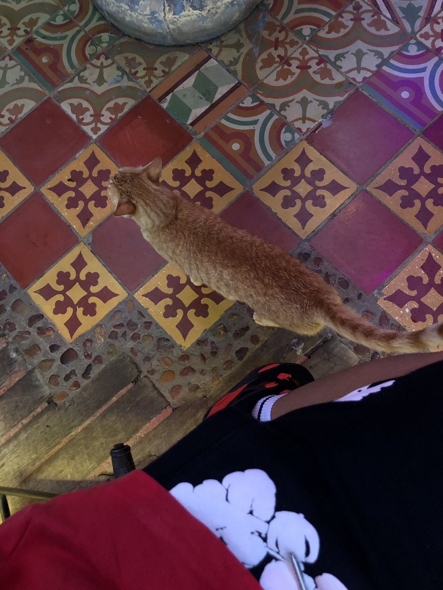 whosliluser's tweet photo. 🧠👨🏻‍💻 https://t.co/1RDiTjn2Eb