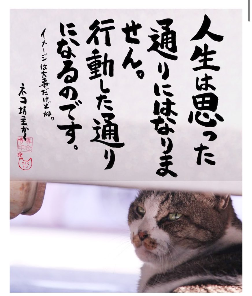 Twitterで反応が良かったものをコラムにさせていただきました。是非ご一読ください。
また感想をコメントに書いていただきますと励みになります。
こちらをクリック⤵️
yomifami.com/others/post-14…