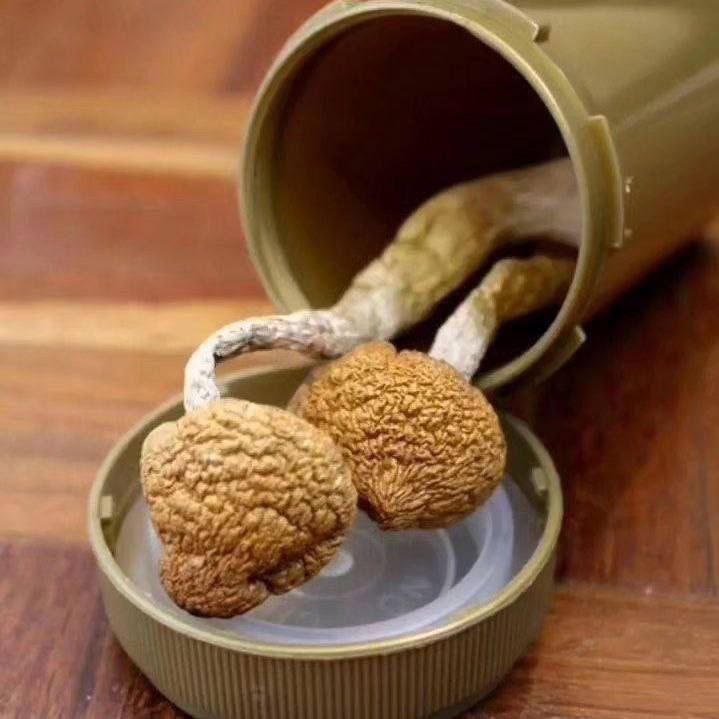 #psychedelictrance. #artistsoninstagram.
#psytrancefamily. #artoftheday.
#psytrancefestival. #ai.
#psyfamily. #trancemusic.
#psychedelics. #dj.
#psychedelicrock. #aiartcommunity.
#trippyartwork.

Dm me or click on my telegram link below 👇👇to order 

t.me/psychedelicthe…