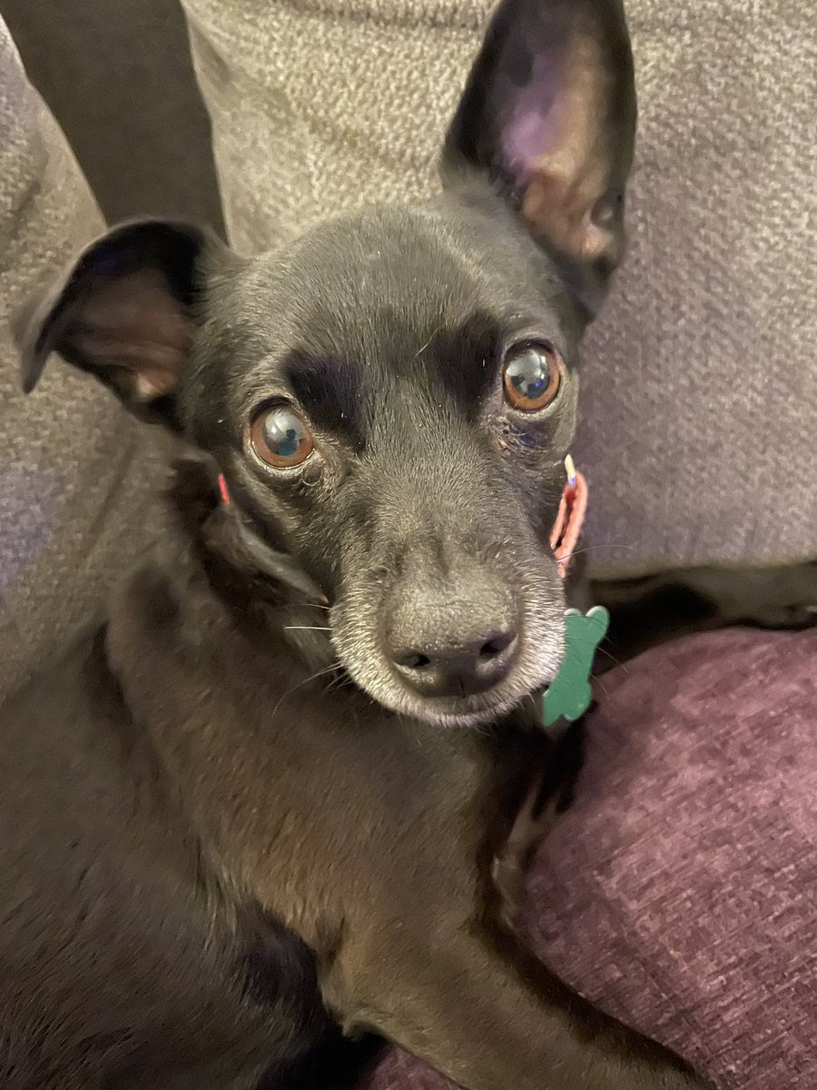Lookit that little face ❤️