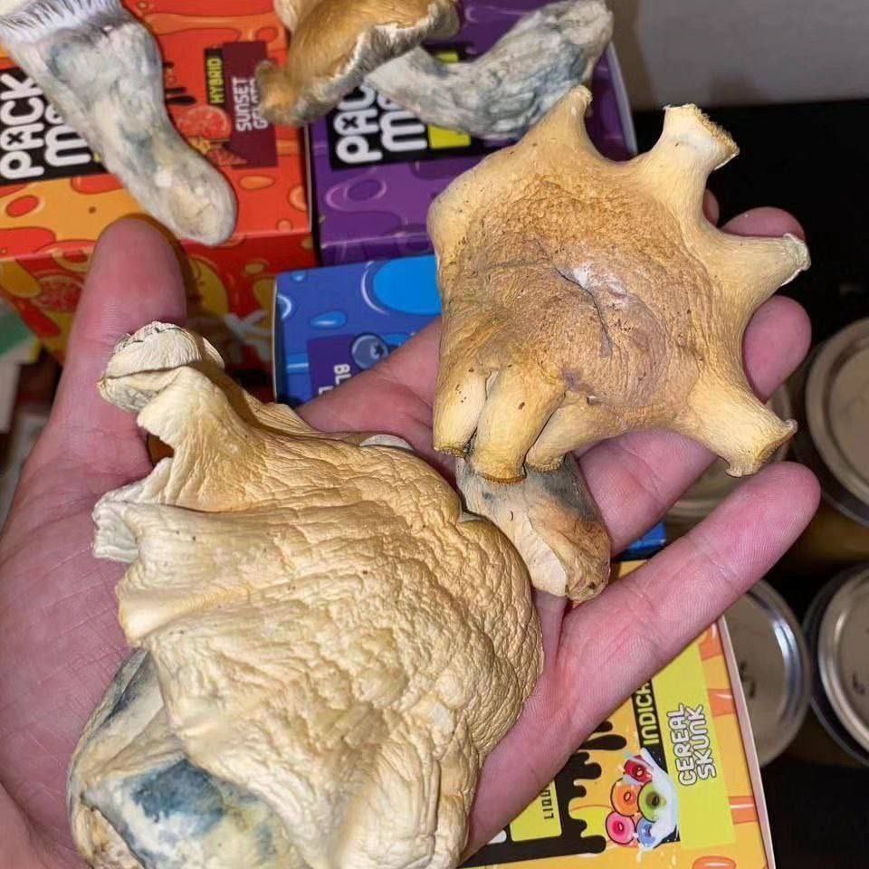 Dm me or click on my telegram link below 👇👇to order 

t.me/psychedelicthe…

#psyart
#psychedelictrance. #artistsoninstagram.
#psytrancefamily. #artoftheday.
#psytrancefestival. #ai.
#psyfamily. #trancemusic.
#psychedelics.
#psychedelicrock. #aiartcommunity.
#trippyartwork.