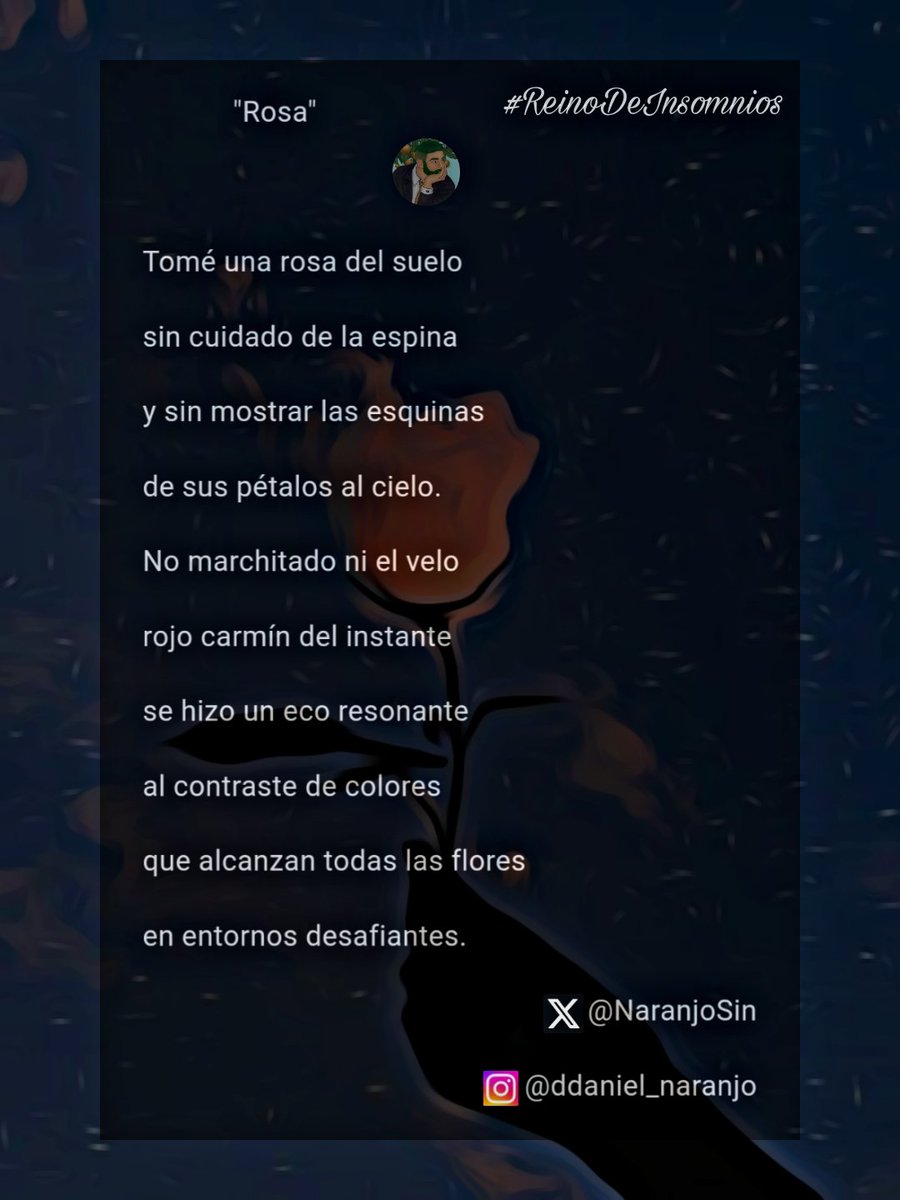 Naranjo_Sintético tweet media