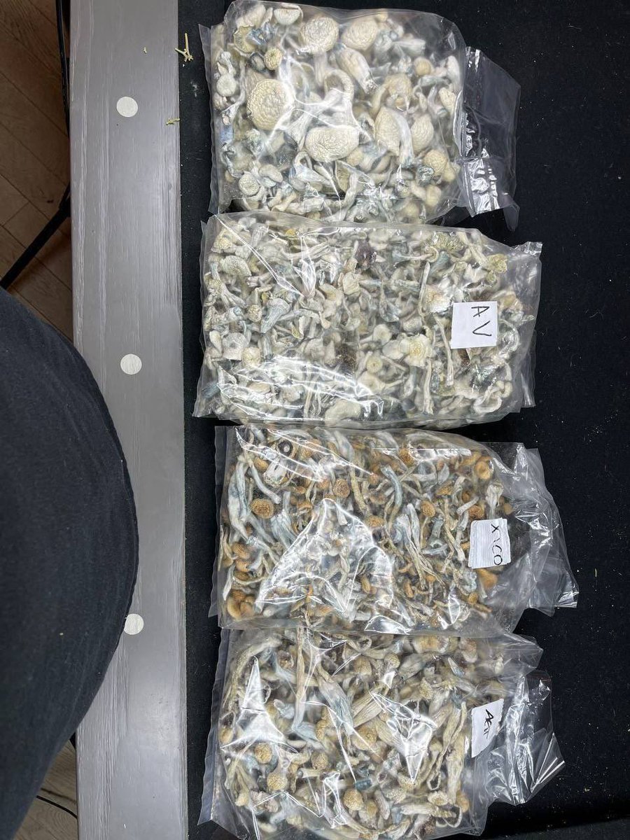 #psyart
#psychedelictrance. #artistsoninstagram.
#psytrancefamily. #artoftheday.
#psytrancefestival.
#psyfamily. #trancemusic.
#psychedelics. #dj.
#psychedelicrock. #aiartcommunity.
#trippyartwork.

Dm me or click on my telegram link below 👇👇to order 

t.me/psychedelicthe…