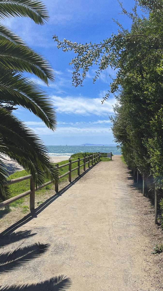 KyleSchweke's tweet photo. The most fundamental aspect of health is completely free —

Being outdoors

Walking
Running
Hiking
Sitting quite on a bench
Soaking up sunlight
Minimally clothed
Barefoot
Sounds of nature
Eyes open to expansive views
Fresh air
Breathing in the biome of the land

Nothing better. https://t.co/THWM30jNAJ