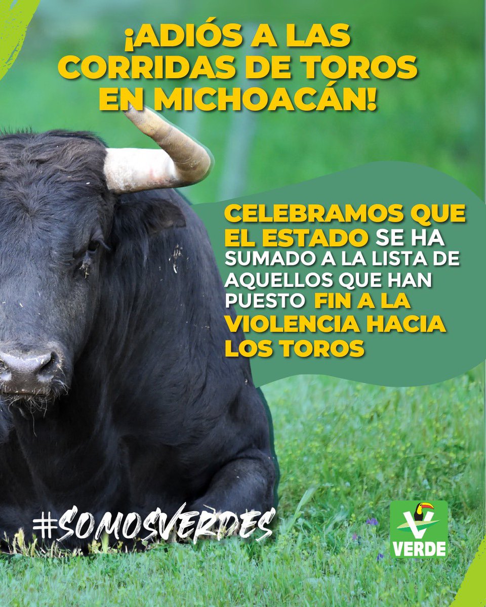 jurielcabrera's tweet photo. Hoy damos un paso histórico prohibiendo la tauromaquia. Agradecemos el compromiso del Congreso y la lucha infatigable del Partido Verde. #LegisladoresVerdes #FinTauromaquia @VerdeCDMX @ChuchoSesmaPVEM https://t.co/JPnoRkDh6Q