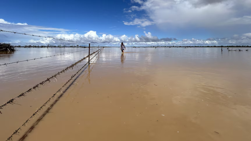 FarmMap4D tweet media