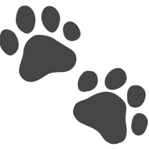 Sharon69125312's tweet photo. @TweeetsOfDogs Black is my favorite color when it comes to my dogs and/or cats! You are so precious! https://t.co/880MunqDSD