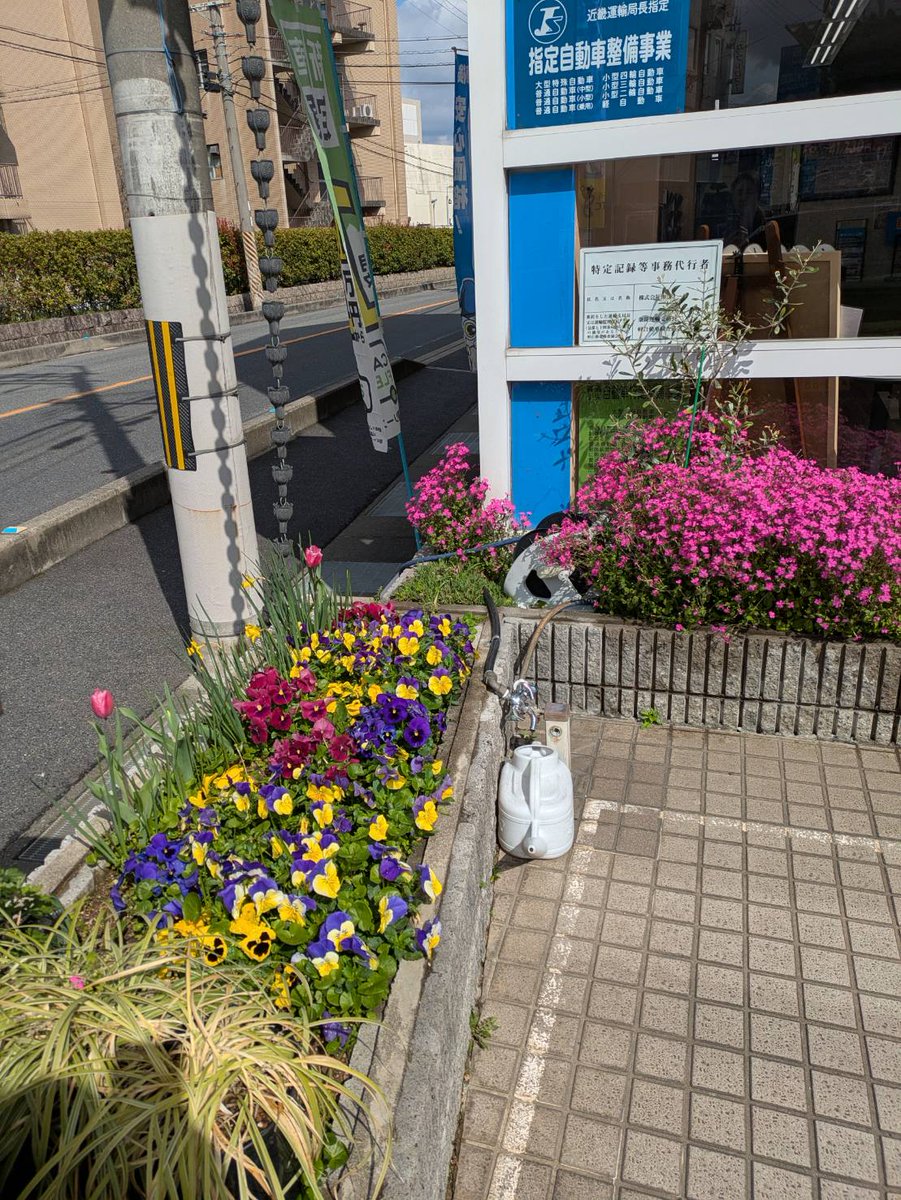 segawa_auto's tweet photo. いいお天気ですね！瀬川オートもおかげさまで今日も元気に営業しております！お花がキレイに咲いています。クルマのことなら、お気軽にご相談いただける。そんなお店でありたいと思います。次の車検、新車・中古車のリースやローン、オイル交換や修理など、ぜひぜひご予約、ご来店ください！ https://t.co/5cWYGTmWtd