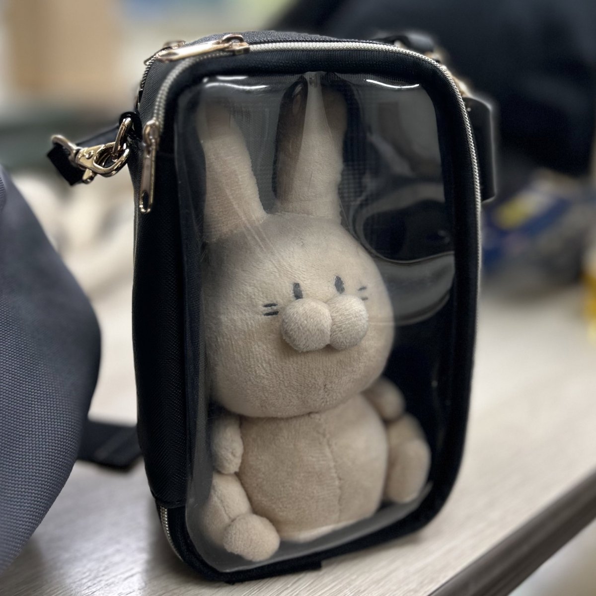 everyday_usa_gi's tweet photo. 【拡散希望】
4/2の19時頃一宮-栄生付近でポーチの中に入ったうさぎのぬいぐるみを無くしてしまいました。

��身のオリジナルの子であるため、世界に1つしかない宝物です。

もし見かけた・見つけた際はリプ、またはDMでお願いします🙇‍♂️

#ぬいぐるみ #落とし物 #紛失 #落し物 #ぬい活 #拡散希望 https://t.co/D7viBQ3HaA