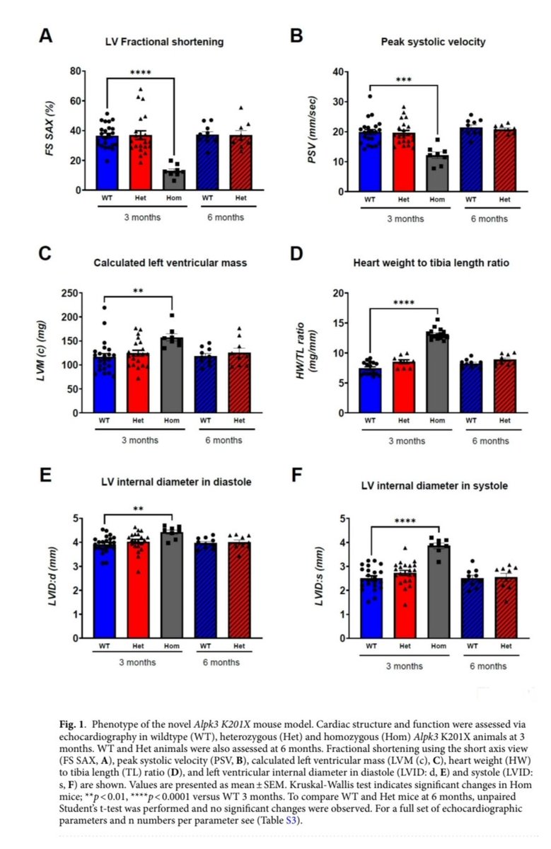 Ahmad Masri tweet media