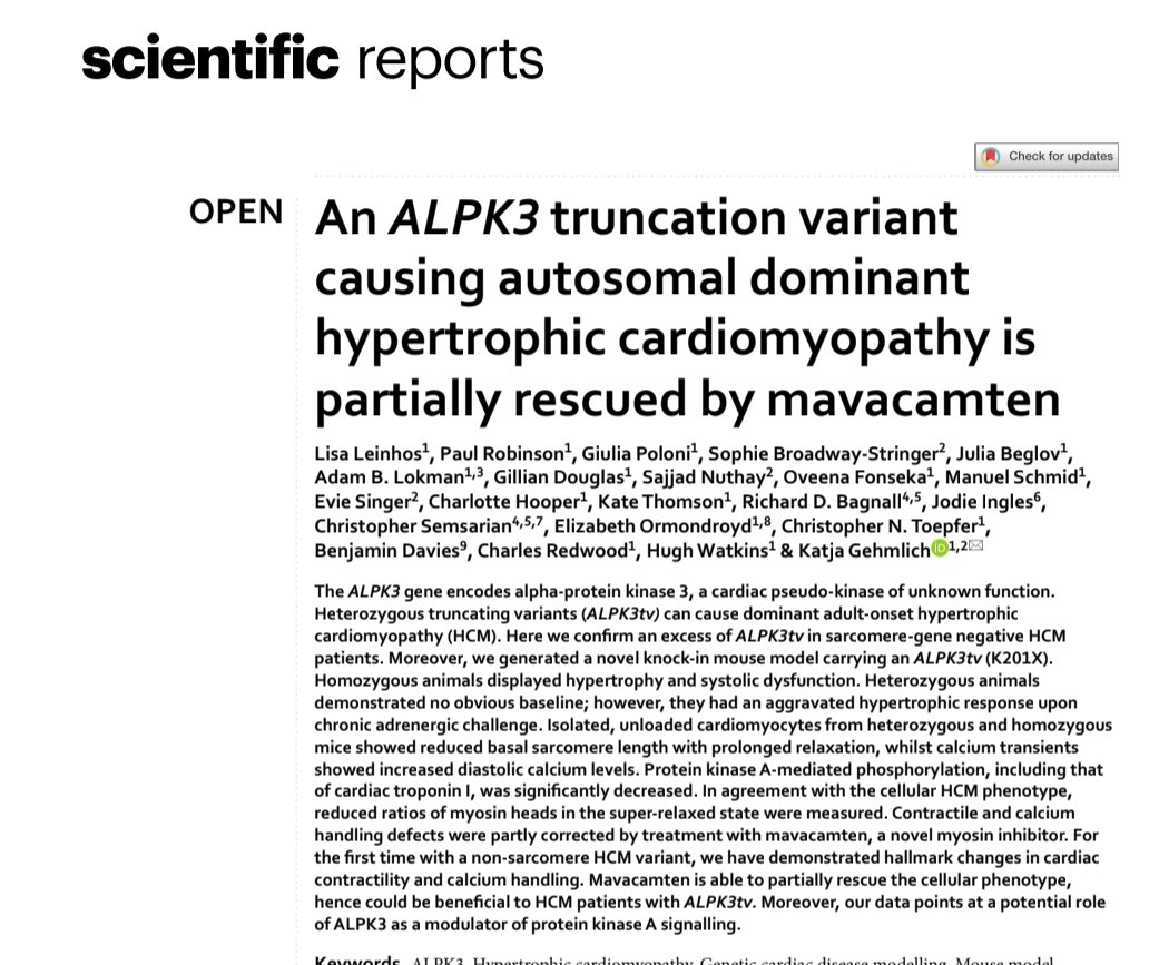 Ahmad Masri tweet media