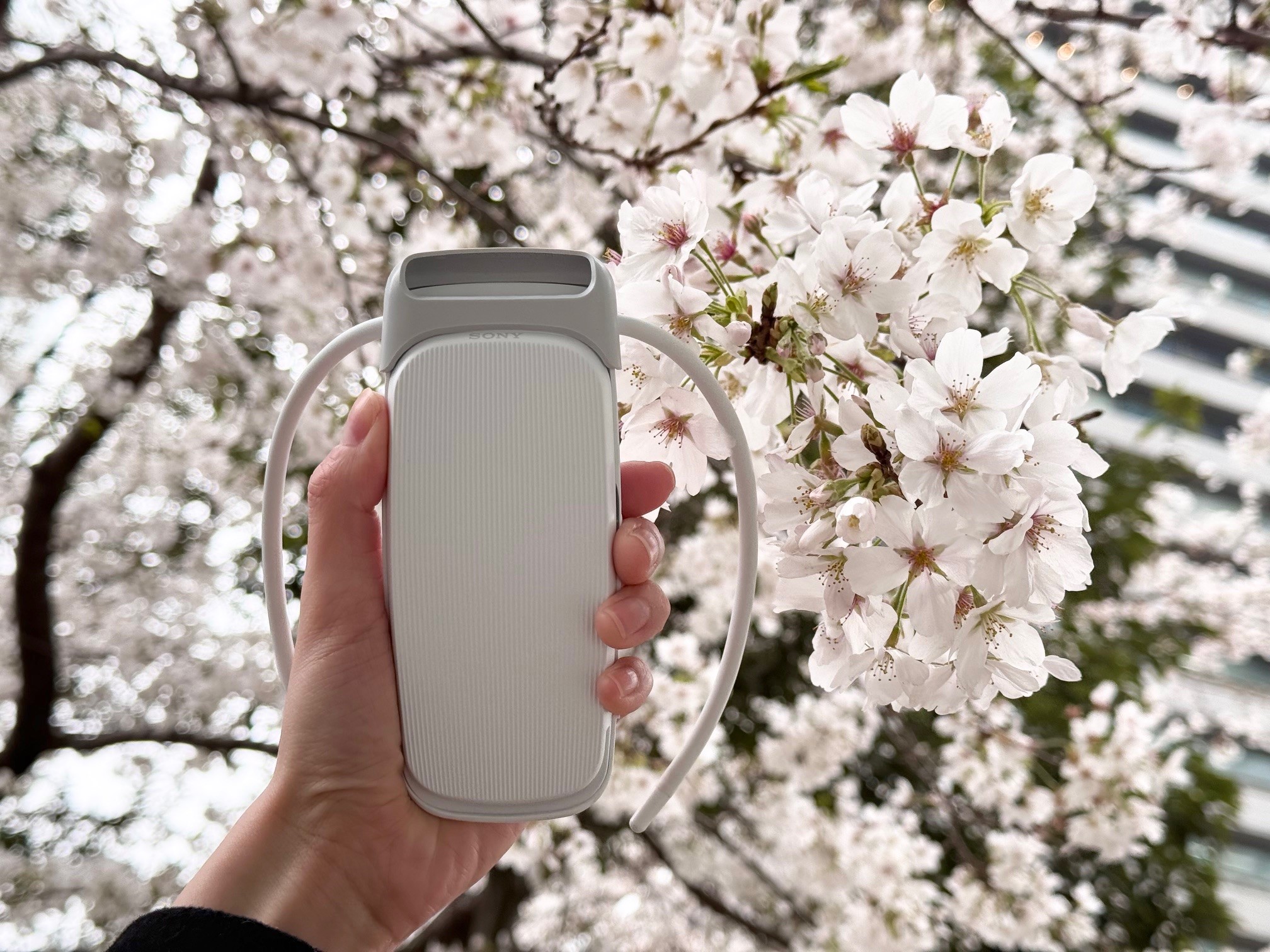 Sony | REON POCKET (Japan) (@REONPOCKET_JP) / X