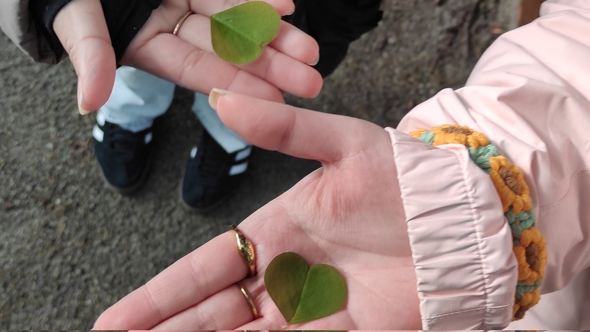 mme_hansen's tweet photo. Thanks to Nicole Priessl &amp; @bbyvillage for taking #BCFP12 class on an Indigenous plant walk today! It truly enriched what we're learning in class &amp; despite the weather it was memorable for everyone! #FNESC #IndigenousEd #Edchat #BCed #IndigenousPlants #Plants #edutwitter https://t.co/mMjBRzsyWq