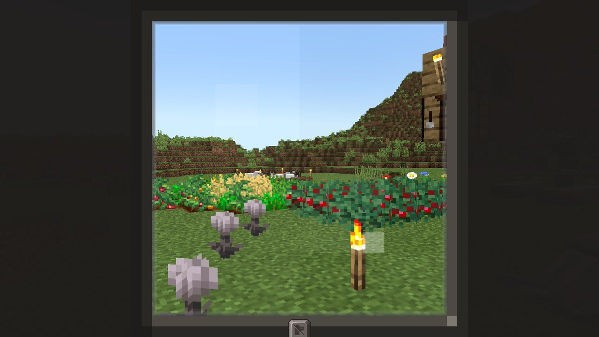 Truba🥝 (@trubakiwi) on Twitter photo 