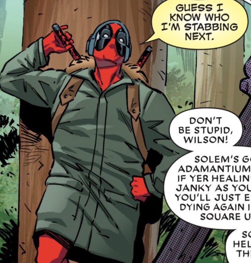 댕댕이 tweet media