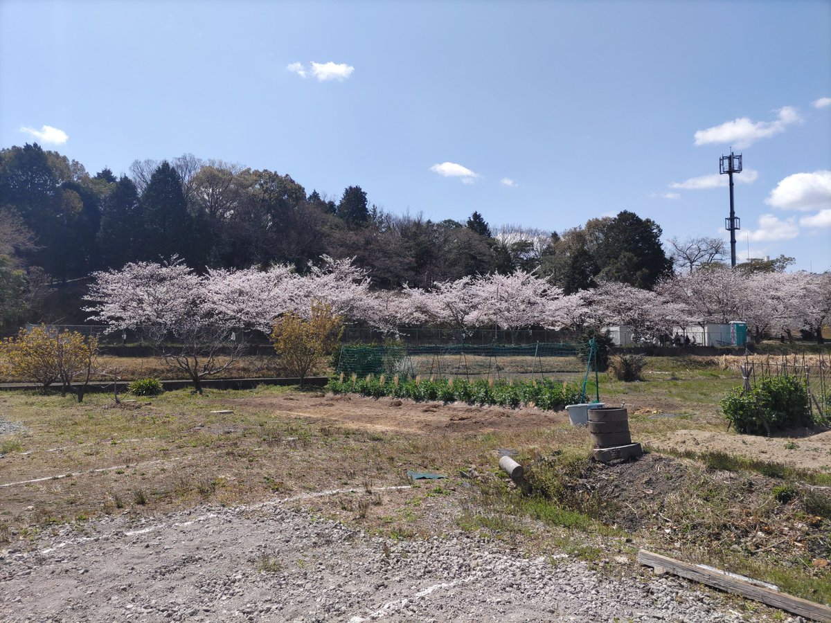 今年もなんとか準備できました。
後は予約されているお客様安全運転で、おこしくらさい。
鈴鹿で、お待ちしております。