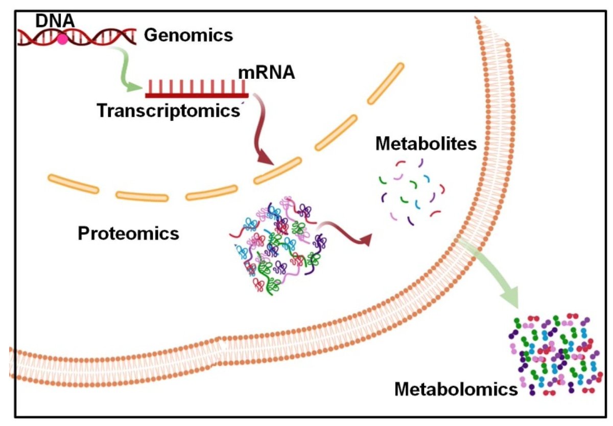 😊Check out #review: Advancing Bladder Cancer Biomarker Discovery: Integrating Mass Spectrometry and Molecular Imaging #BladderCancer
<a href="/MdpiOnco/">Onco_MDPI</a>  <a href="/MDPIOpenAccess/">MDPI</a> 
👨‍🎓Author: by Vadanasundari Vedarethinam
👏 mdpi.com/2673-7523/5/2/…