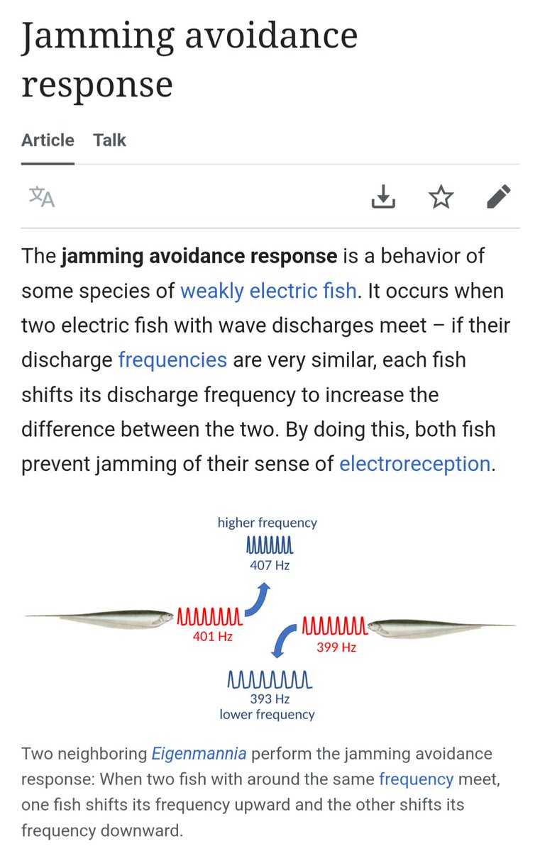 fucking insane. some fish use electrical signals to navigate; if two fish on the same frequency encounter each other, they automatically switch frequencies to avoid "signal jamming" each other. exactly like how your wifi router does at home. wow.