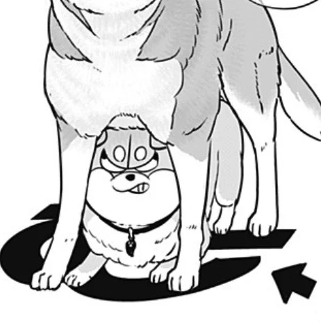 今日の推シバです🐕 #シバつき物件
https://t.co/ffOGjDWjaM 