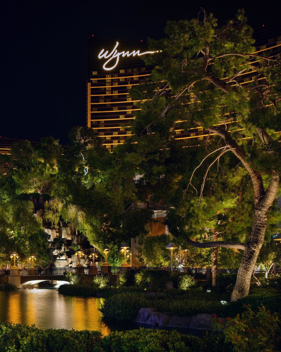 Las Vegas Locally 🌴 tweet media