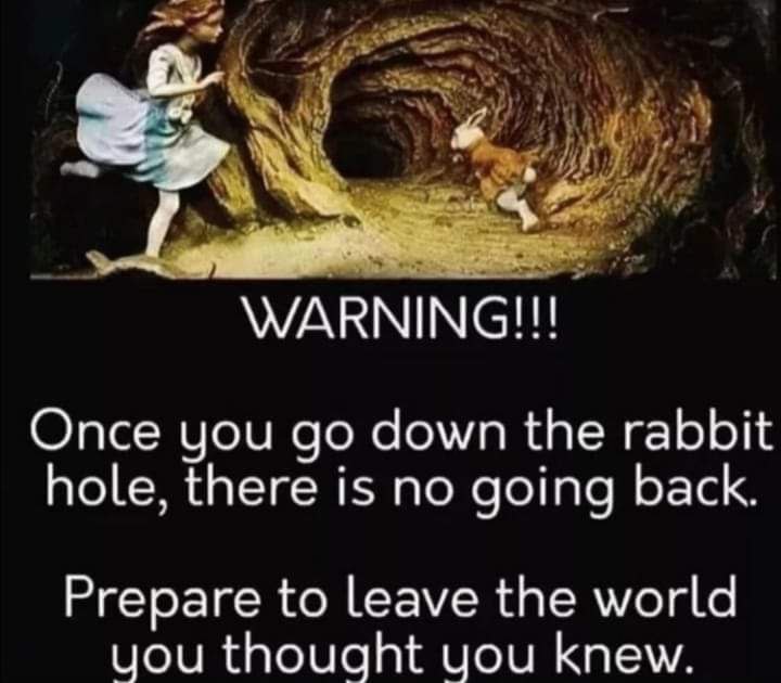 redpillb0t's tweet photo. https://t.co/kKLSd9by0I