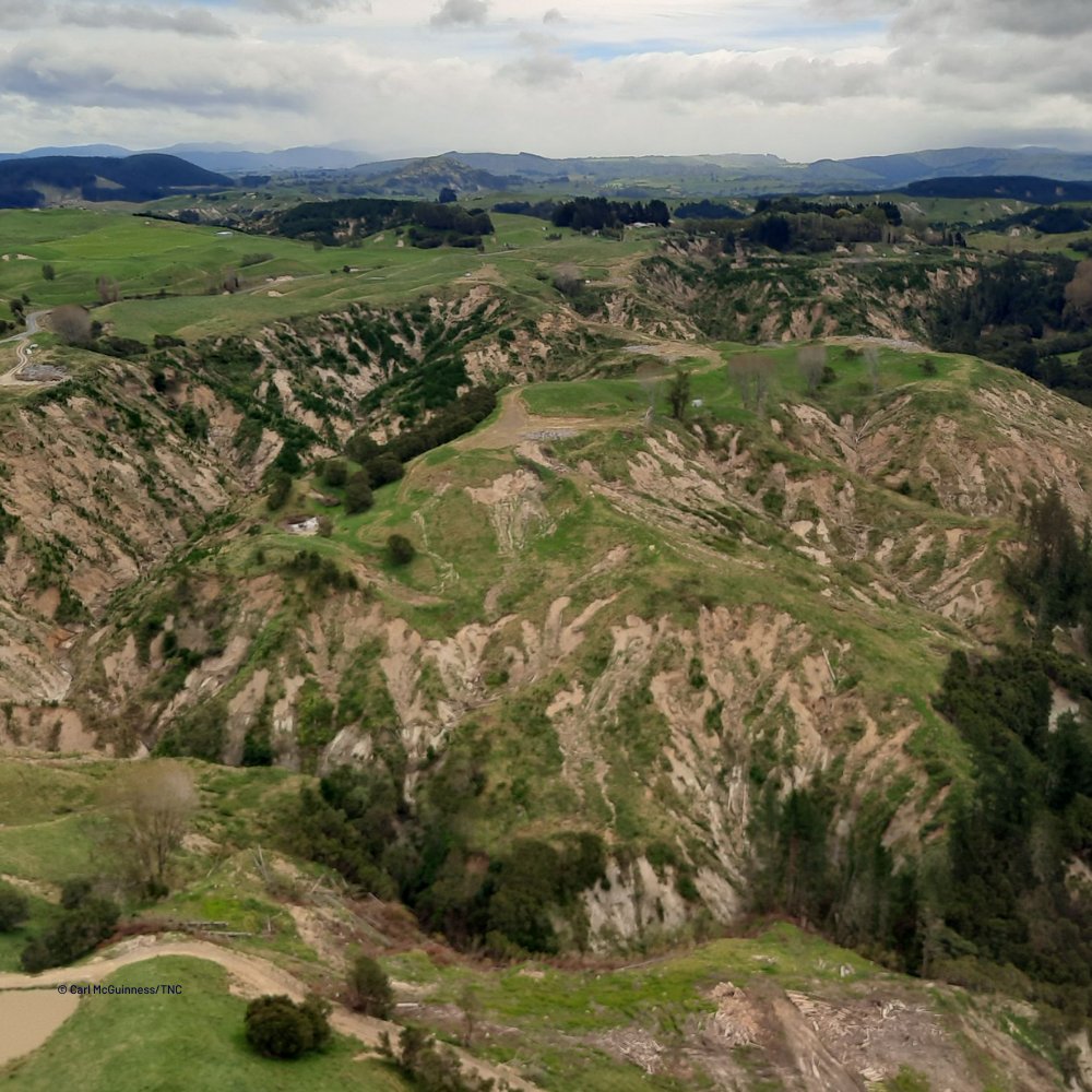 #HawkesBay, New Zealand, is a key agricultural hub but tough environmental conditions have threatened the way of life for farmers and nature. Find out how #TheNatureConservancy is helping cultivate #LandForLife by improving soil resilience with farmers: nature.ly/4iW0p2s