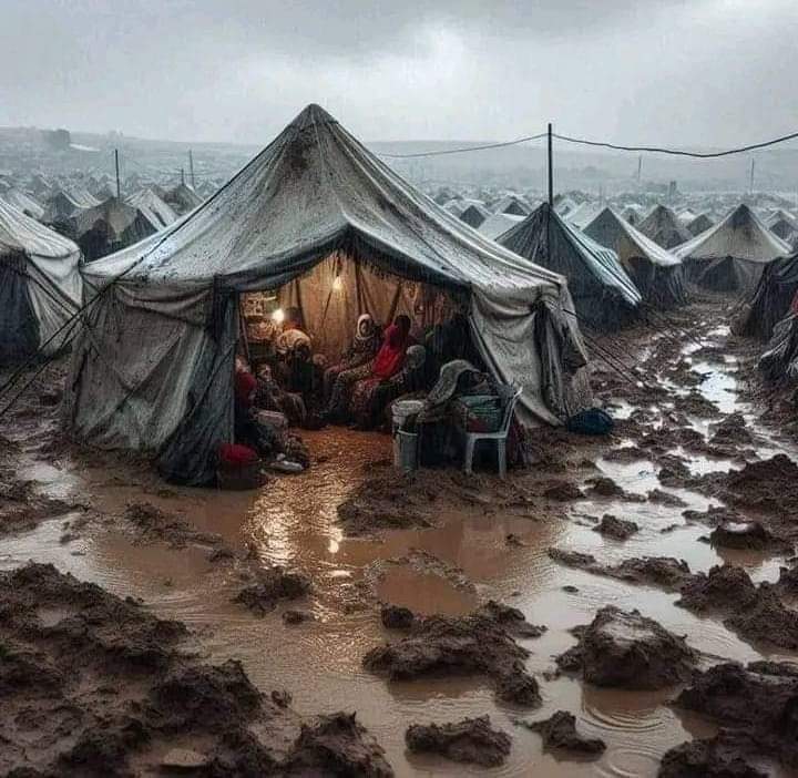 Bahgi Tigray tweet media