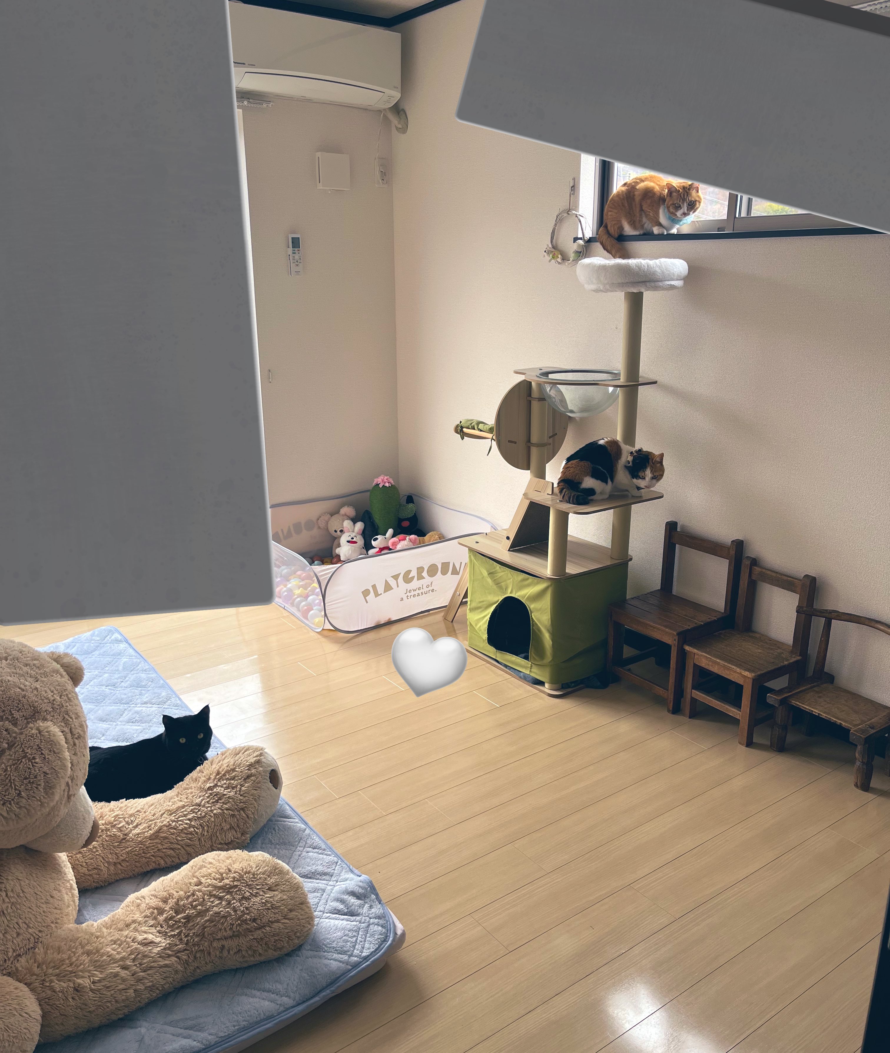 マイちゃん様のお部屋 Just Like Brooklyn?!】- Touring Four Colorful and High