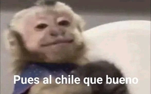 PabloEs18074626's tweet photo. @AkashaAkas84167 @QuePocaMadre_Mx @SS_Edomex https://t.co/QDMEl4UNYR