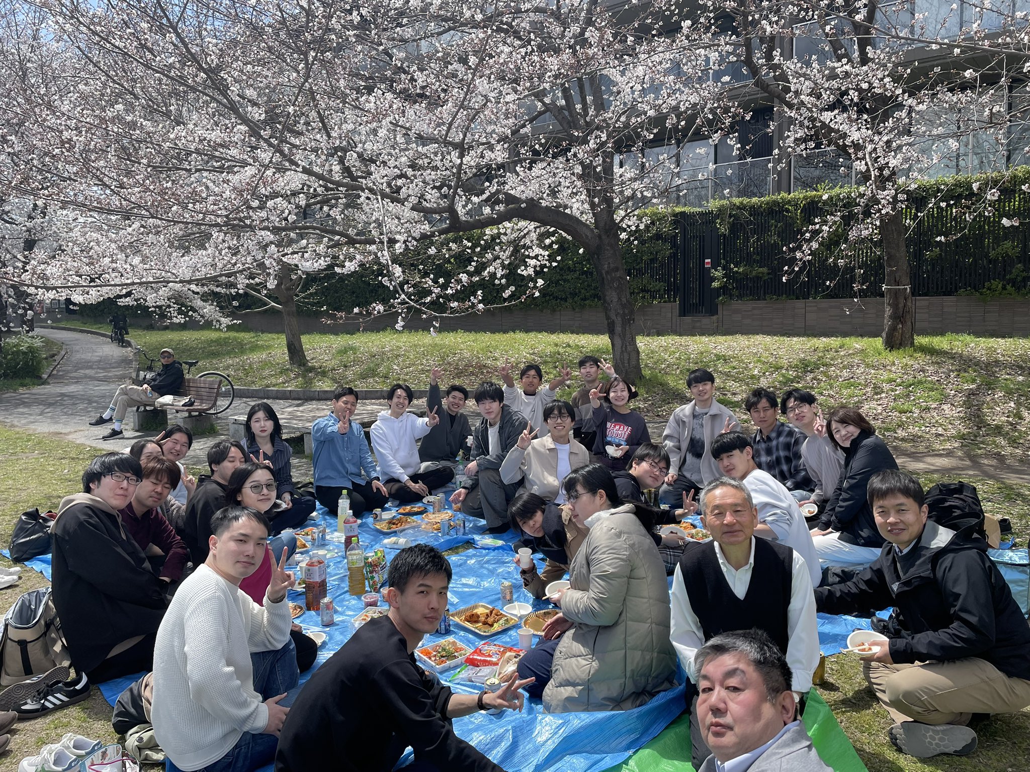 薬品合成化学分野／Takasu Lab. (@KUGousei) / X