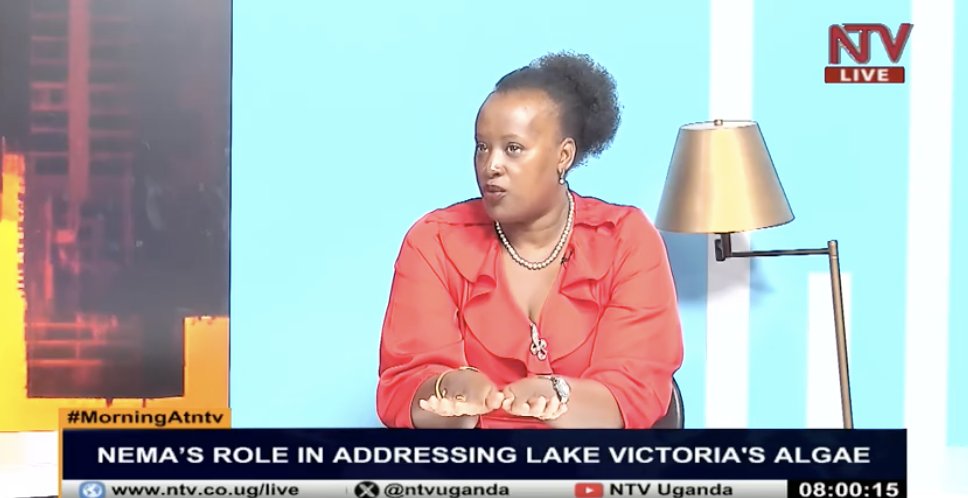 NTV UGANDA (@ntvuganda) on Twitter photo Green algae blooms in Lake Victoria are not a new phenomenon; they have occurred repeatedly, especially during the rainy season. As long as the rainy season persists, we can expect to see these blooms continue to impact the lake. - Naomi Karekaho, <a href="/nemaug/">National Environment Management Authority (NEMA)</a>
#MorningAtNTV Green algae blooms in Lake Victoria are not a new phenomenon; they have occurred repeatedly, especially during the rainy season. As long as the rainy season persists, we can expect to see these blooms continue to impact the lake. - Naomi Karekaho, <a href="/nemaug/">National Environment Management Authority (NEMA)</a>
#MorningAtNTV