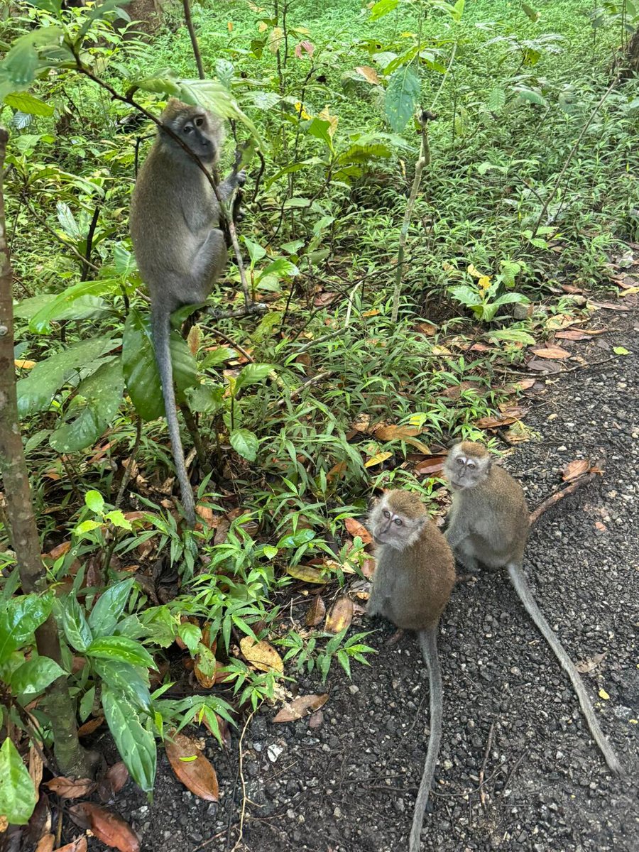 Two people walking so fast. Wait for me😤