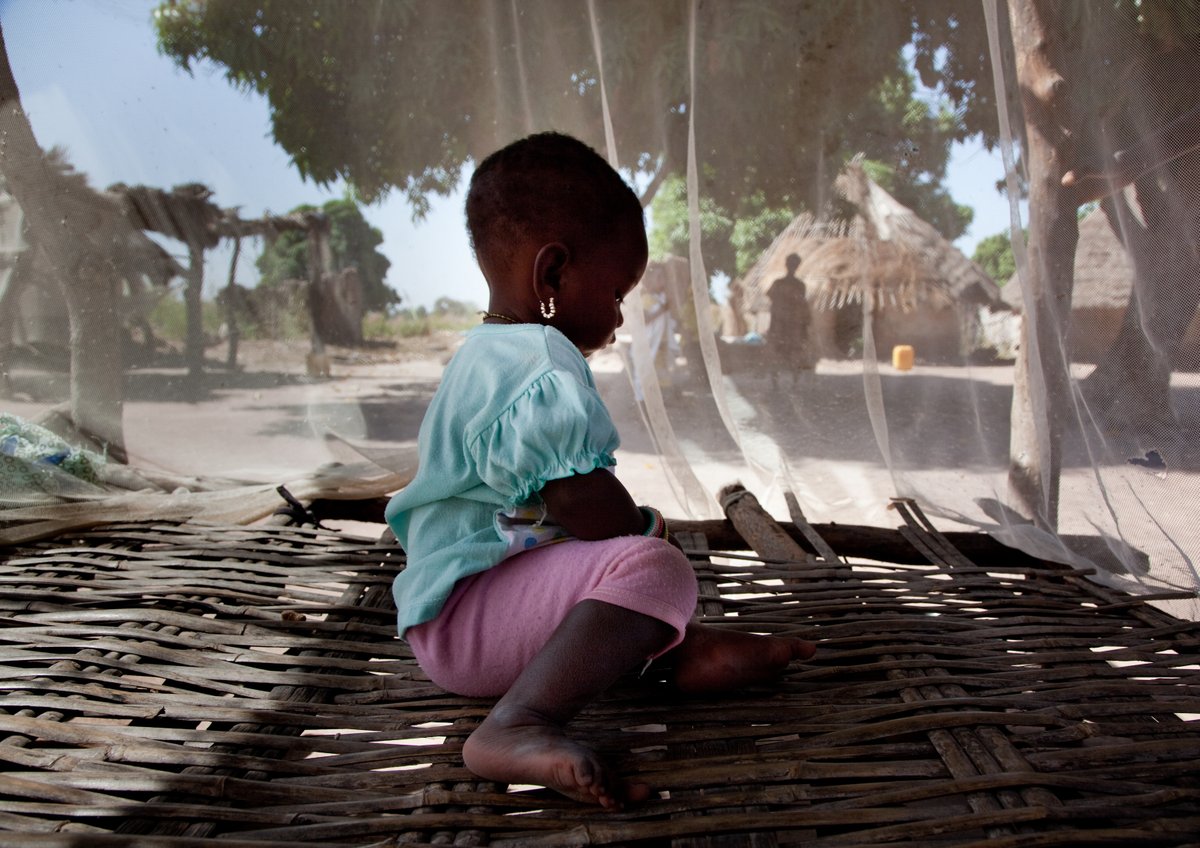 Swiss Malaria Group (@swissmalaria) on Twitter photo Our newest #MemberSuccessStory highlights a 22-year study in #Tanzania, through which <a href="/SwissTPH/">Swiss TPH</a> & partners showed that children who sleep under #BedNets at an early age are more likely to survive into adulthood.
Read more: swissmalariagroup.ch/en/about-us/me…
đź“· Konstantin Ikonomidis, SMG Our newest #MemberSuccessStory highlights a 22-year study in #Tanzania, through which <a href="/SwissTPH/">Swiss TPH</a> & partners showed that children who sleep under #BedNets at an early age are more likely to survive into adulthood.
Read more: swissmalariagroup.ch/en/about-us/me…
đź“· Konstantin Ikonomidis, SMG