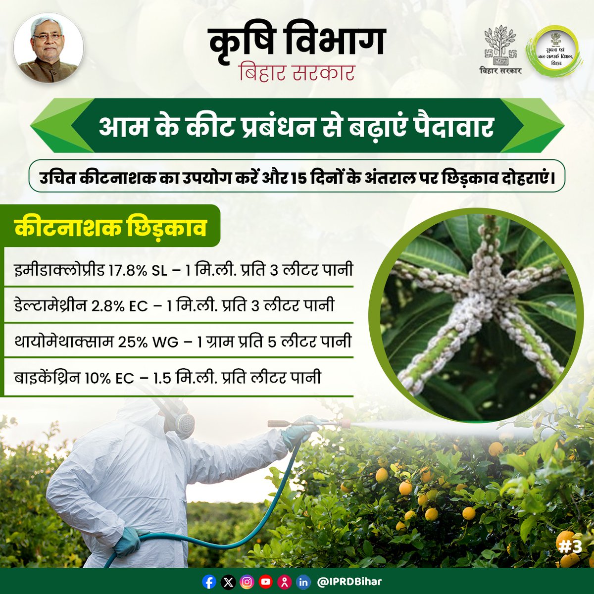 मधुआ और दहिया कीट आम के फलों को नुकसान पहुंचाते हैं, जिससे उत्पादन घटता है। इससे बचाव करने के लिए करें निम्न उपाय। 
* नियमित सफाई और मिट्टी की जुताई करें
* सही कीटनाशकों का छिड़काव करें
* समय पर बचाव के उपाय अपनाएं

स्वस्थ बाग, बेहतर उत्पादन!

<a href="/VijayKrSinhaBih/">Vijay Kumar Sinha</a> 
<a href="/Agribih/">Agriculture Department, Govt. of Bihar</a>