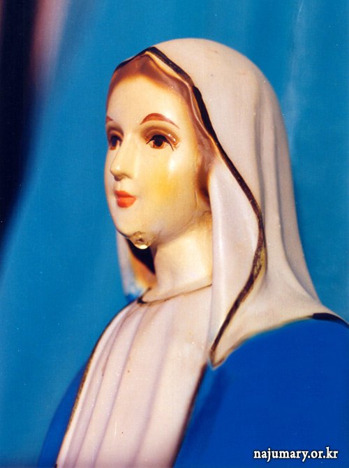 2002년 2월 2일 - 내 아들 예수와 내가 함께 피 흘리며 동행하는 십자가의 길 : 성부 하느님, 성자 예수님, 성모님께서 율리아님을 통하여 주신 사랑의 메시지  najumary.or.kr/Messages1?q=YT…