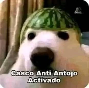DanielM89639233's tweet photo. @CerezaAlLicor Sinceramente si, a mí me gustan las mujeres con figura si pero que se vean no tan delgadas, siento que luego hay complexiones muy delgadas que no me atrae.
Aunque al final del día, soy más feo que el hambre y nadie se ha fijado en mi https://t.co/iEApIsF3eY