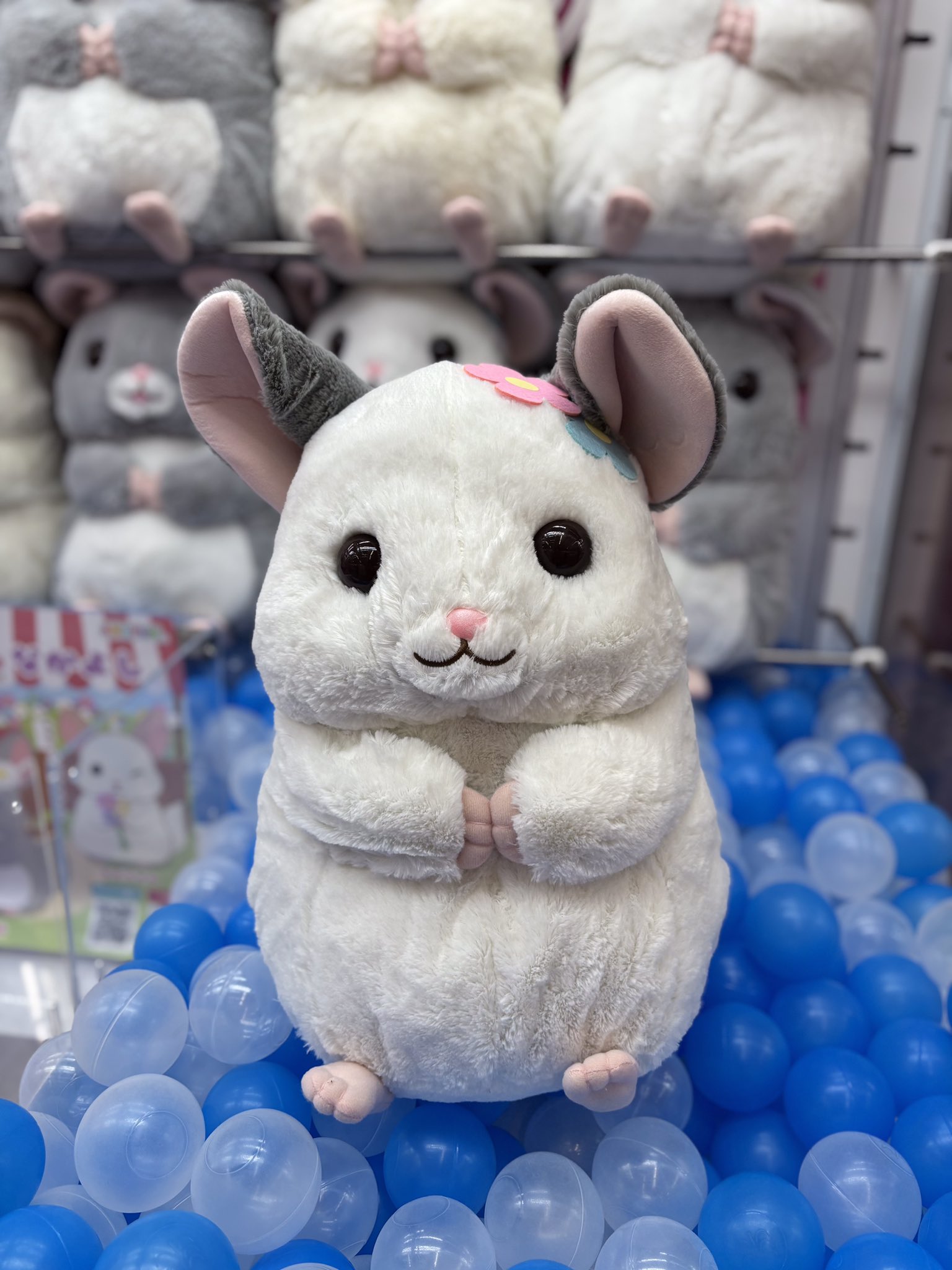 7月限定！新品☆【チンチラのララちゃん】なかよしウルトラBIGぬいぐるみ★全3種 7月限定！新品☆【チンチラのララちゃん】なかよしウルトラBIG