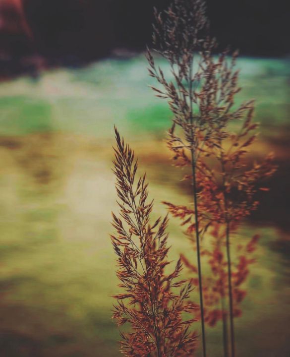 Art of the Day: "冬がやってくる “Winter is coming”". Buy at: ArtPal.com/Jupiter_Nyx?i=…