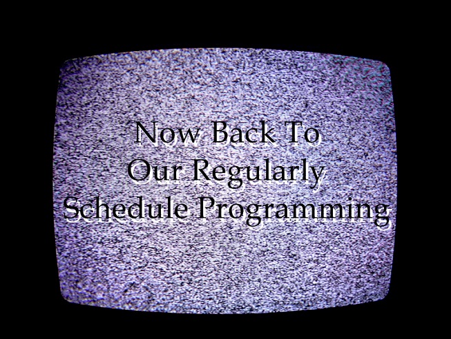 Corey (@sharkshank1) on Twitter photo 