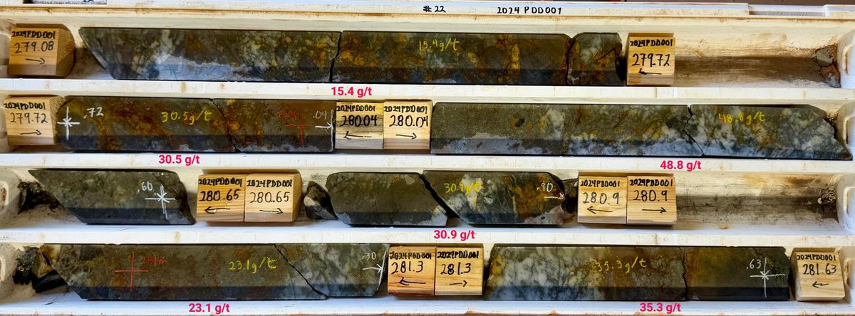 Pictured: #diamonddrillcore used in #petrophysicalstudies; showing #goldmineralisation associated with #pyrrhotite, #chalcopyrite &amp; #pyrite.

Prev. reported assays from hole 24PDD001: 16.3m @ 7.95 g/t Au from 272m, incl. 4.63m @ 25.62 g/t Au from 277m.

bit.ly/3RsBXKb