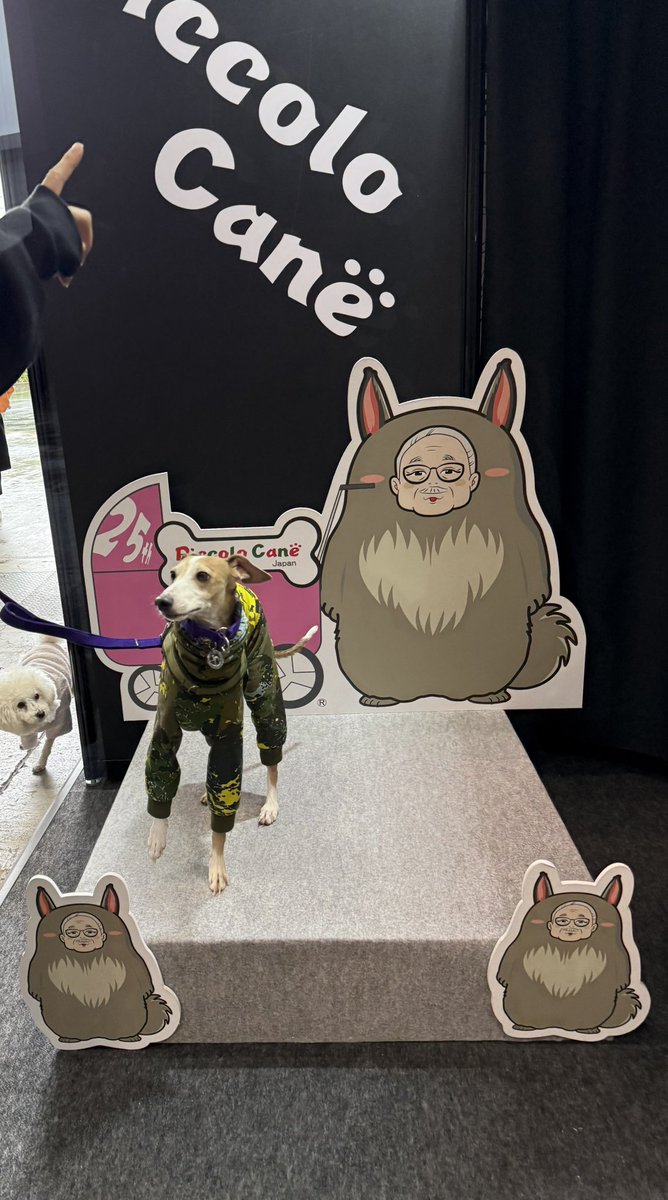 suzty16's tweet photo. #愛犬とSUBARU車でどこへ出かけよう 🐕 #SUBARU10日間オーナー体験CP 🚗 https://t.co/SzJ0iGfIB4