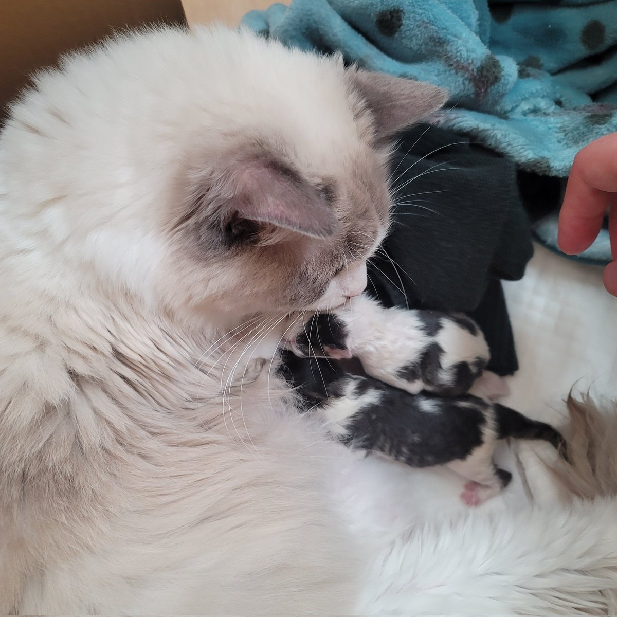 #新しいプロフィール画像