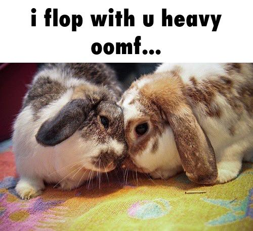 emma 🐇 (@forestdruiddyke) on Twitter photo 