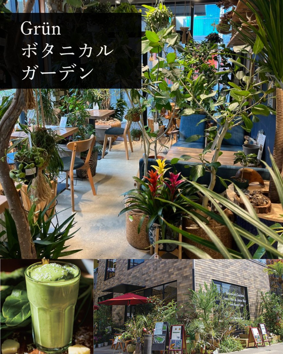 gbiidabashi's tweet photo. ―ボタニカルガーデン🌱×スムージー🍹―
『東京のおいしいボタニカルさんぽ』掲載店紹介🌿

千葉県柏市「Grün ボタニカルガーデン」🚩@GruenLinkGarageは、
観葉植物×スムージー＆ジュースバーのお店🌟

海外のグリーンショップのような雰囲気の店内に
約4000種が所狭しとならび、宝探し気分に🎶

カフェカウンターでは、ミネラルとビタミンたっぷりの
ジュースやスムージー、お食事をどうぞ😋🍹