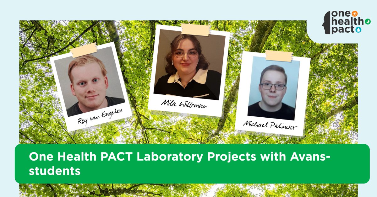 One Health PACT (@onehealthpact) on Twitter photo Welcome to the next three Biology and Laboratorial Research students from <a href="/AvansHogeschool/">Avans Hogeschool</a>! Roy van Engelen, Mila Willemsen and Michael Palinckx will be part of our One Health PACT projects. Who are these students? Go to: bit.ly/4jh76fD
#onehealth #mosquitos Welcome to the next three Biology and Laboratorial Research students from <a href="/AvansHogeschool/">Avans Hogeschool</a>! Roy van Engelen, Mila Willemsen and Michael Palinckx will be part of our One Health PACT projects. Who are these students? Go to: bit.ly/4jh76fD
#onehealth #mosquitos