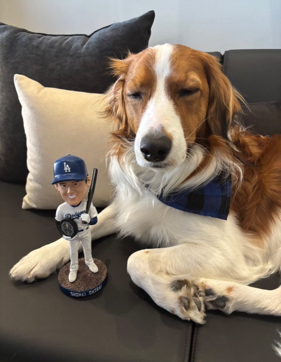 大谷翔平、自身のボブルヘッド人形と デコピンの2ショット写真を